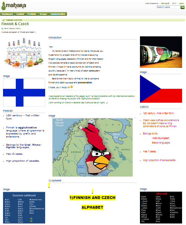 International project in Mahara.png